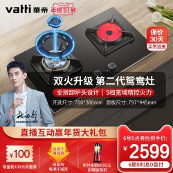 VATTI 华帝 Vatti/华帝i10049B 厨房家用嵌入式台式双灶煤气燃气天然气灶具