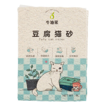 迎接猫猫回家：新手养猫必备物品