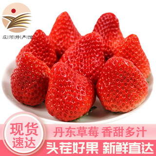 东方态美 丹东99红颜草莓 精品优选装3斤大果