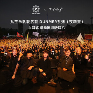 Tipsy 微醺耳机 九宝乐队Dunmer夜精灵联名款有线无线 蓝牙入耳音乐专业监听耳机 无线版