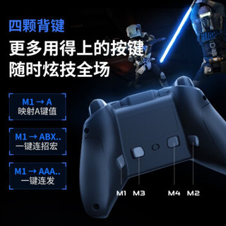 飞智黑武士2游戏手柄 赛博朋克2077XBOX手柄PC电脑steam精英手柄原神糖豆人只狼FIFA 黑武士2有线版 灰色