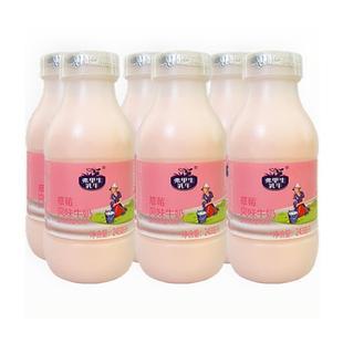 FRISIAN COW 弗里生乳牛 草莓风味牛奶饮料儿童牛奶243ml*6瓶