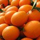 重庆奉节脐橙纽荷尔脐橙 果园现接现发新鲜水果 10斤带箱中果(65-75mm)