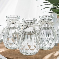 北欧玻璃插花瓶透明干花创意客厅插花水养简约百合摆件