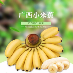 广西小米蕉香蕉水果当季新鲜水果 *5件