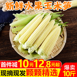 新鲜甜玉米笋10斤小玉米芯仔蔬菜迷你嫩玉米棒水果玉米批发5包邮