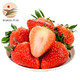京东PLUS会员：红颜草莓 新鲜草莓 2.5斤 *2件
