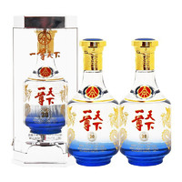 WULIANGYE 五粮液 一尊天下 上品 30 52%vol 浓香型白酒 500ml*2瓶 双支装