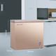 Hisense/海信 BD/BC-203NUD冰柜家用小型冷藏冷冻卧式大容量两用