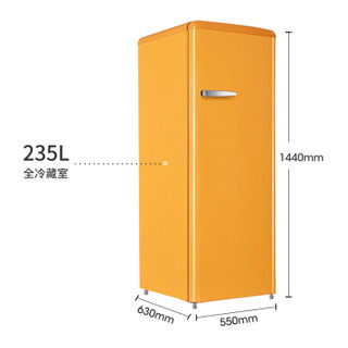 ins风复古冰箱235L单门大容量冷藏箱冰吧家用客厅民宿酒店办公室低噪音简约彩色 BC-235R