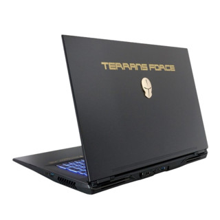 TERRANS FORCE 未来人类 X711 17.3英寸 笔记本电脑 酷睿i7-10875H 16GB 1TB SSD RTX 2070 8G 72%NTSC 144Hz 黑色