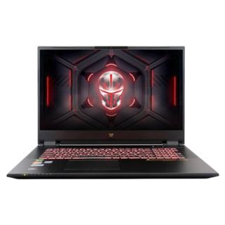 TERRANS FORCE 未来人类 X711 17.3英寸 笔记本电脑 酷睿i7-10875H 16GB 1TB SSD RTX 2070 8G 72%NTSC 144Hz 黑色