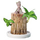 御卉阁 巴西木幸运木 巴西木(6cm)+陶瓷盆+格鲁特