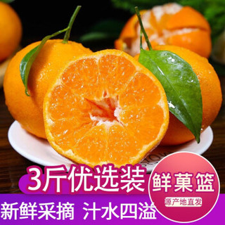 鲜菓篮 柑橘水果四川新鲜橘子 优选3斤装 新鲜水果现摘现发
