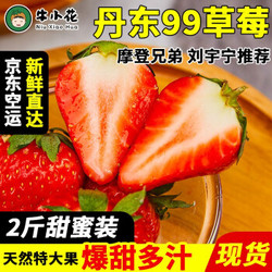 新鲜现摘丹东99草莓礼盒装 2斤大果