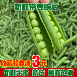 云南新鲜青豌豆甜脆豌豆
