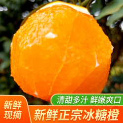 鲜大宗新鲜冰糖