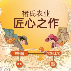 褚橙官方旗舰店云冠橙当季橙子新鲜冰糖橙L号10斤