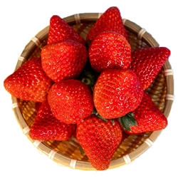 玖玖农场 丹东99草莓  中果30-40g  2斤