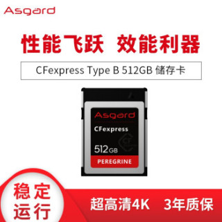 阿斯加特(Asgard) 512GB高速CF Express存储卡 游隼系列-高级单反相机内存卡 支持4K内录RAW连拍