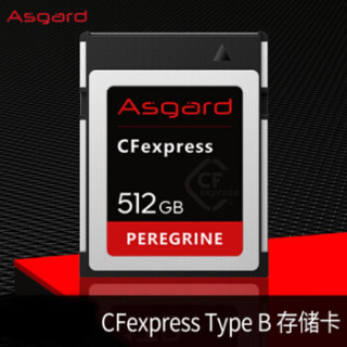 阿斯加特(Asgard) 512GB高速CF Express存储卡 游隼系列-高级单反相机内存卡 支持4K内录RAW连拍