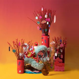 Flowerplus 花加鲜花速递 花加年宵花银柳 冬青花束礼盒国潮新年货 报价价格评测怎么样 什么值得买 Flowerplus 花加鲜花速递 花加年宵花银柳 冬青花束礼盒国潮新年货 报价价格评测怎么样 什么值得买