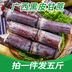 包邮广西产当季特产黑皮甘蔗水果好吃新鲜脆甜重5斤