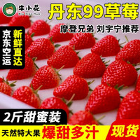 丹东99草莓 红颜奶油大草莓