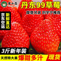 丹东特产红颜奶油大草莓 3斤家庭装