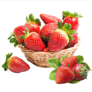 京东PLUS会员： 田园居 天仙醉奶油草莓 3斤中大果