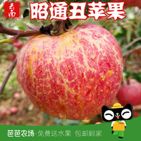 云南昭通丑苹果新鲜水果当季整箱3斤现摘应季冰糖心