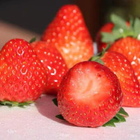 京东PLUS会员： 牛小花 丹东99草莓 3斤装（净重2.8斤） +凑单品