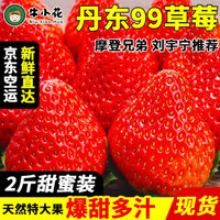 九九草莓 丹东特产新鲜大草莓 2斤装（净重1.9斤）