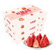 红颜奶油草莓 约重1.5kg 量贩装 新鲜水果 *3件