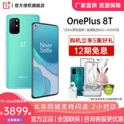一加8T 双模5G游戏手机 120Hz柔性直屏 OnePlus1 8T手机 青域 12GB 256GB(标准版)