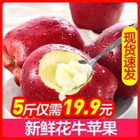 甘肃天水花牛苹果 5斤 70-75mm 中果