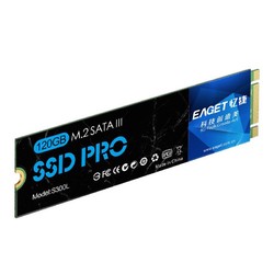 Eaget/忆捷 S300L 256gM.2 台式机电脑笔记本固态硬盘SSD