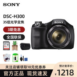 索尼（SONY） DSC-H300 长焦数码相机黑色 家用旅游照相机2010万像素  套餐一