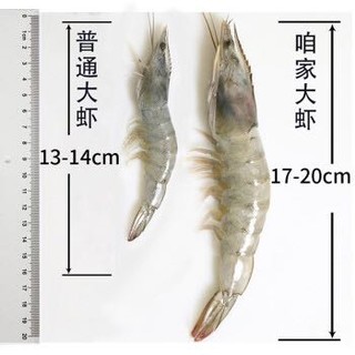 浓鲜时光 17-20厘米特大白虾 净重320-350g 7-9只/袋 *3件