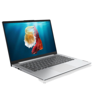 Lenovo 联想 小新 Air 14 2020款 酷睿版 14.0英寸 轻薄本 星光银(酷睿i5-1035G1、MX350、16GB、512GB SSD、1080P、IPS、60Hz）