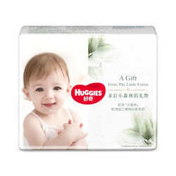 HUGGIES 好奇 心钻装系列 宝宝拉拉裤 小森林款 L4片