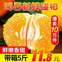 沙窝曙光 湖南湘西椪柑芦柑 新鲜碰柑 甜桔子橘子 毛重约4.5-5斤 大果