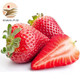 京东PLUS会员：红颜草莓 新鲜草莓 3斤装