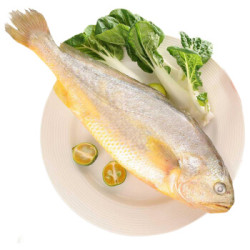 鲜味时刻 大黄花鱼 500g *3件