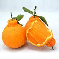 拾柚啦 四川不知火丑橘 新鲜水果 丑柑酸甜橘子 8斤中果