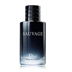 Dior 迪奧 曠野男士淡香水 EDT 100ml