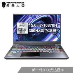 Terrans Force 未来人类 T5X 15.6英寸笔记本电脑(i7-10870H、32GB、1TB、RTX3080、300Hz、雷电3)