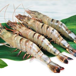 瀚通 黑虎虾 400g *3件