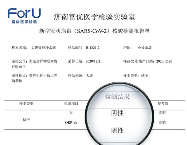 长嗨小镇 生蚝 净重2.5kg XL号(约15-23只）