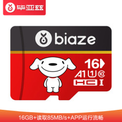 毕亚兹 16GB TF存储卡 Class10 京东JOY联名款 TF16